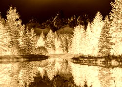 Sepia + Negatyw