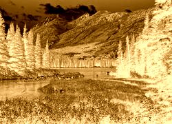 Sepia + Negatyw