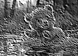 Skamielina