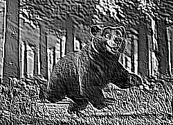 Skamielina