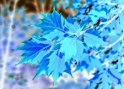 Negatyw