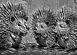 Skamielina