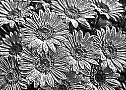 Skamielina