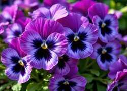 Oryginalny obrazek