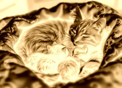 Sepia + Negatyw