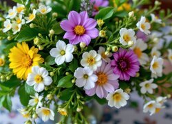 Oryginalny obrazek