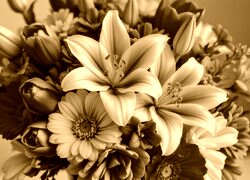 Sepia