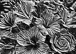 Skamielina