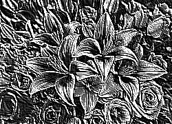 Skamielina