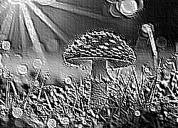 Skamielina