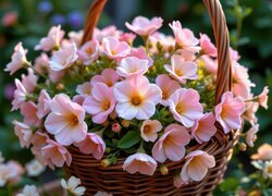Oryginalny obrazek
