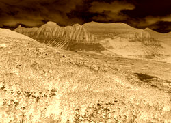 Sepia + Negatyw