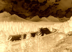 Sepia + Negatyw