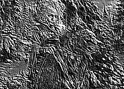 Skamielina