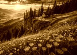 Sepia