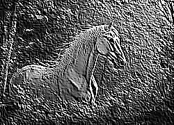 Skamielina