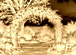 Sepia + Negatyw