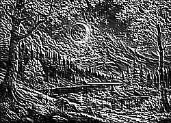 Skamielina