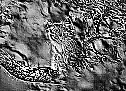 Skamielina