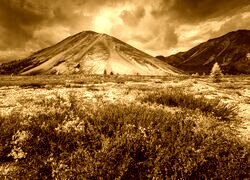 Sepia