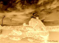 Sepia + Negatyw