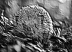Skamielina