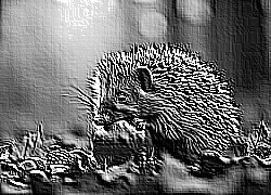Skamielina