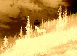 Sepia + Negatyw