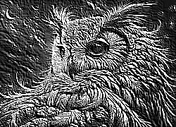 Skamielina