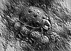 Skamielina