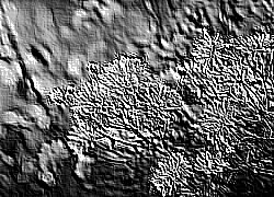 Skamielina