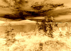 Sepia + Negatyw