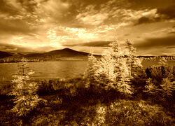 Sepia