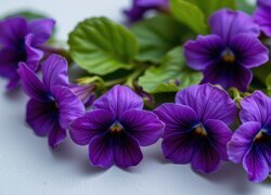 Oryginalny obrazek