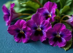 Oryginalny obrazek