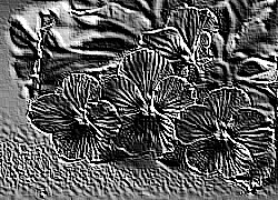 Skamielina
