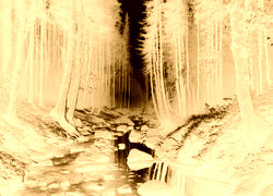 Sepia + Negatyw