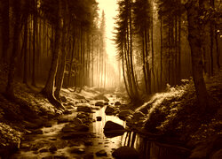 Sepia