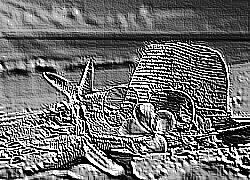 Skamielina