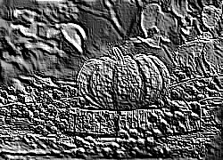 Skamielina