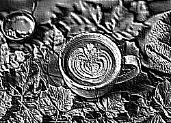 Skamielina