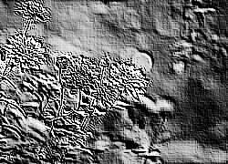 Skamielina