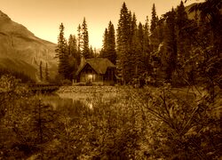 Sepia