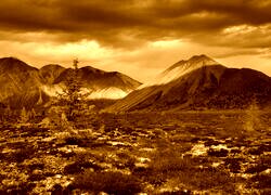 Sepia