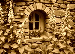 Sepia