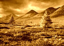 Sepia