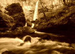 Sepia