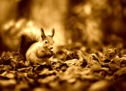 Sepia