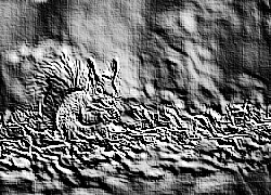 Skamielina