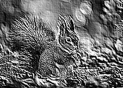 Skamielina